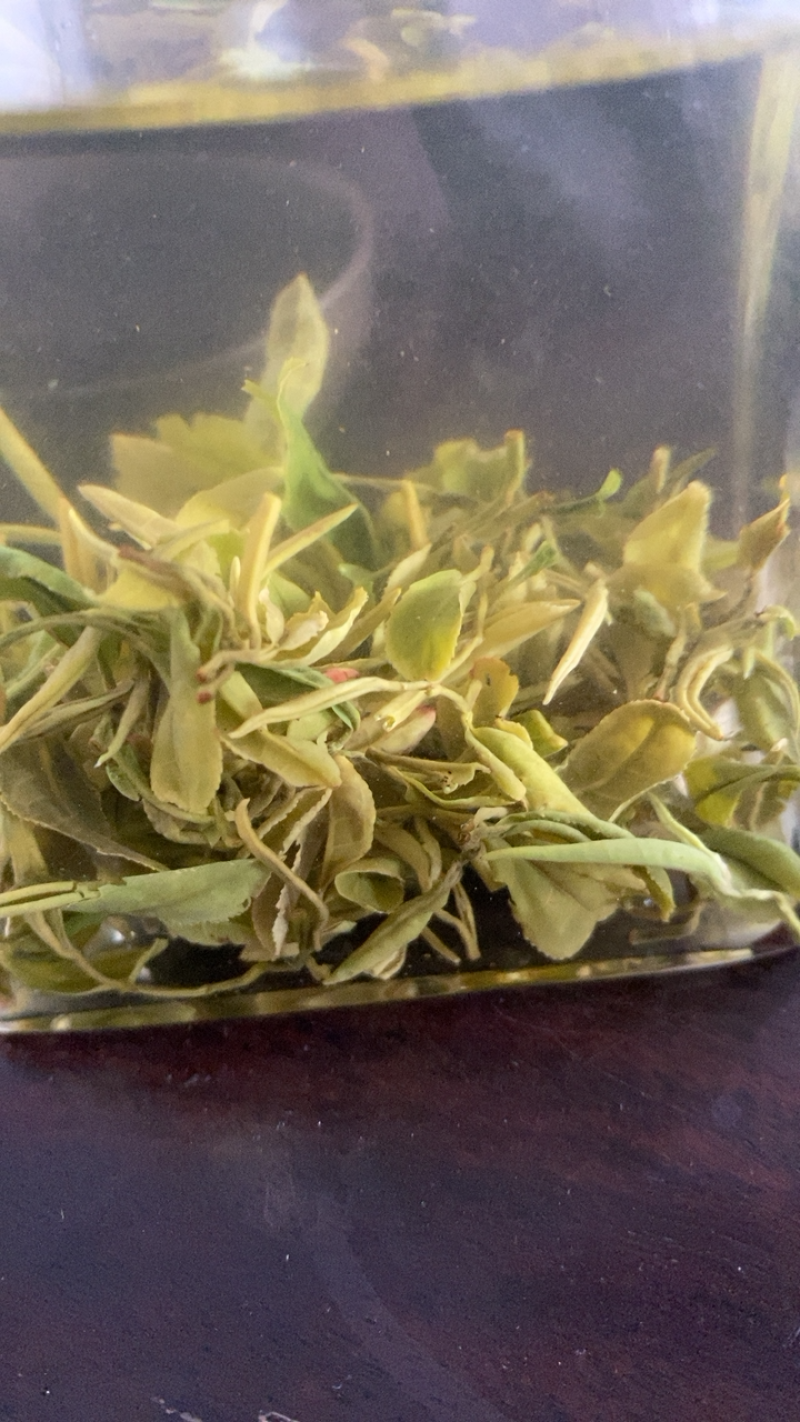 【带虫孔的茶叶】没有喷洒农药，纯日照，品之嘉绿茶