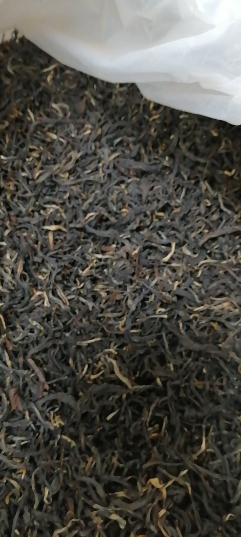 红茶英德红茶英红九号，2021春茶一级功夫茶