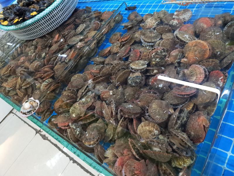 长海县原浆贝丁肉，扇贝柱