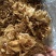 新货茶树菇干度好颜色好无碎渣一件40斤可上门自提