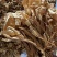 新货茶树菇干度好颜色好无碎渣一件40斤可上门自提