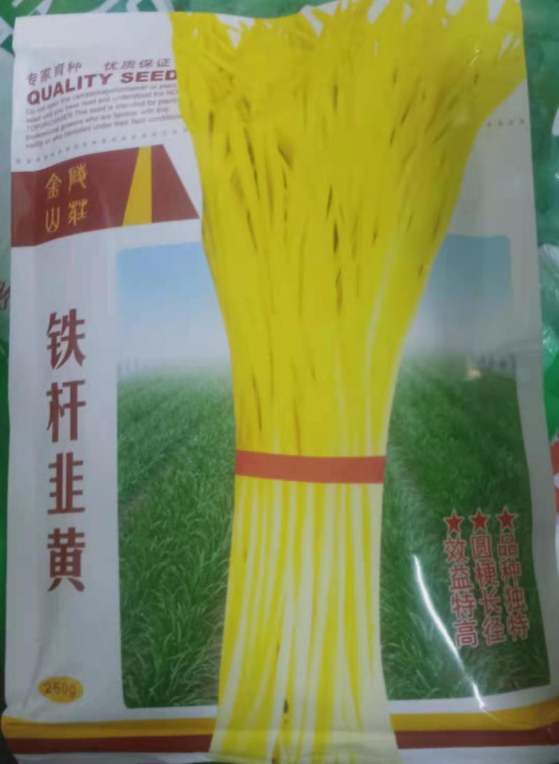 早熟铁杆韭黄种子黄韭菜种子黄韭种子优质抗病