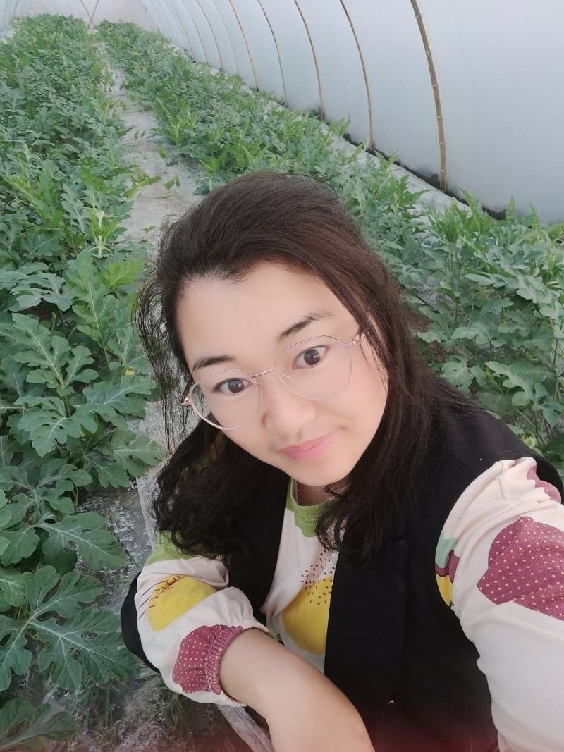 产地直销麒麟西瓜，无中间商赚差价，包装车，打包，视频看货