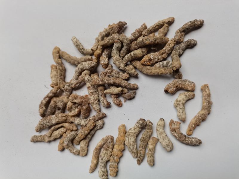 僵蚕统货批发零售品种齐全各种中药材