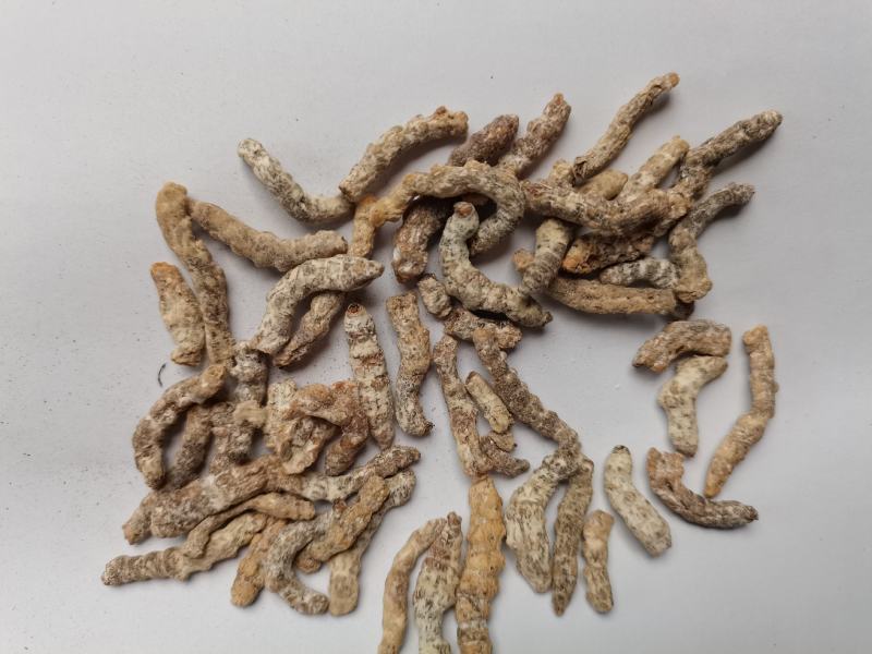 僵蚕统货批发零售品种齐全各种中药材
