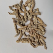僵蚕统货批发零售品种齐全各种中药材