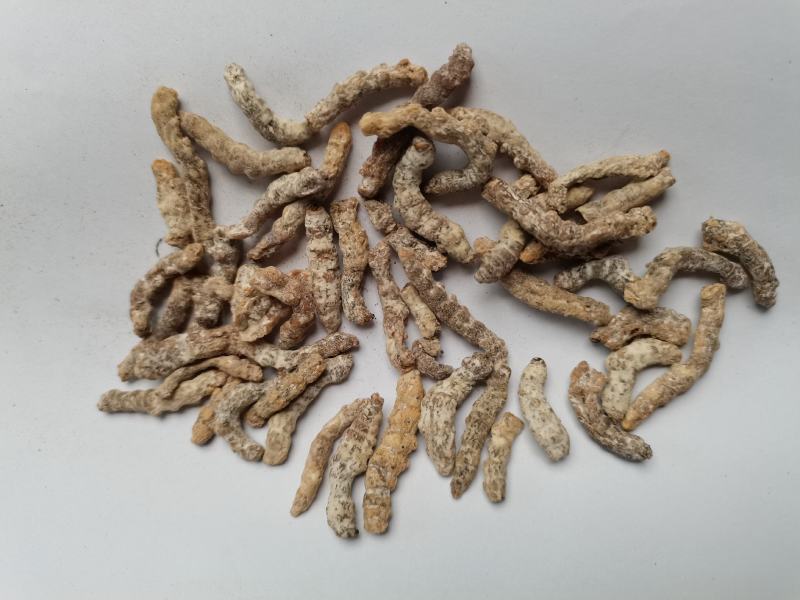僵蚕统货批发零售品种齐全各种中药材