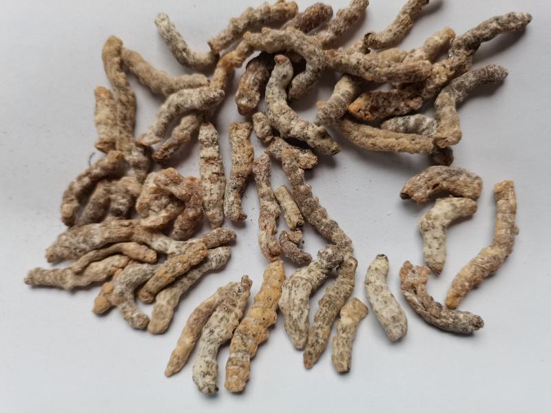 僵蚕统货批发零售品种齐全各种中药材