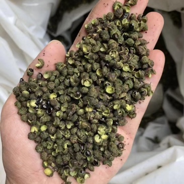 产地直供青花椒大红袍花椒一件60斤可上门自提