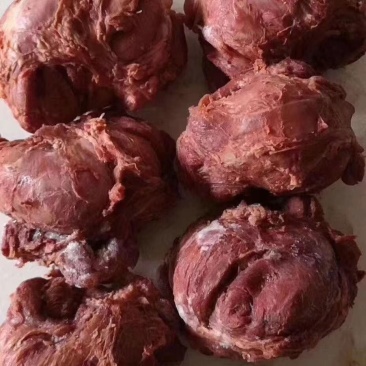 腱子肉批发牛肉风味展会景区酒店餐馆一手货源