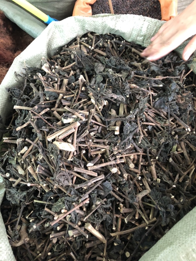 板蓝根（大青叶）批发药材各种规格，量大从优可支持代发