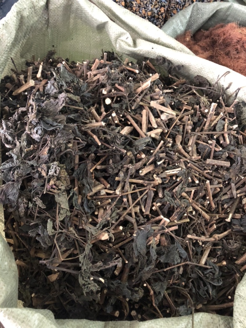 板蓝根（大青叶）批发药材各种规格，量大从优可支持代发