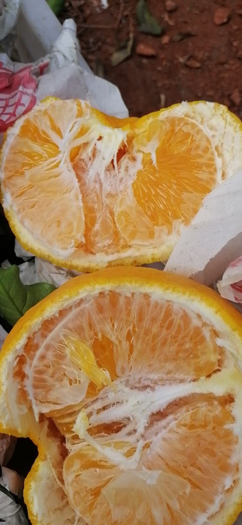 青见，眉山青见，果子水份好，甜度高，个头大，颜色红，