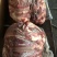牛肋条，胸肋条，烤牛肉专用，精修度高，手续齐全，冷链发货