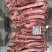 牛肋条，胸肋条，烤牛肉专用，精修度高，手续齐全，冷链发货
