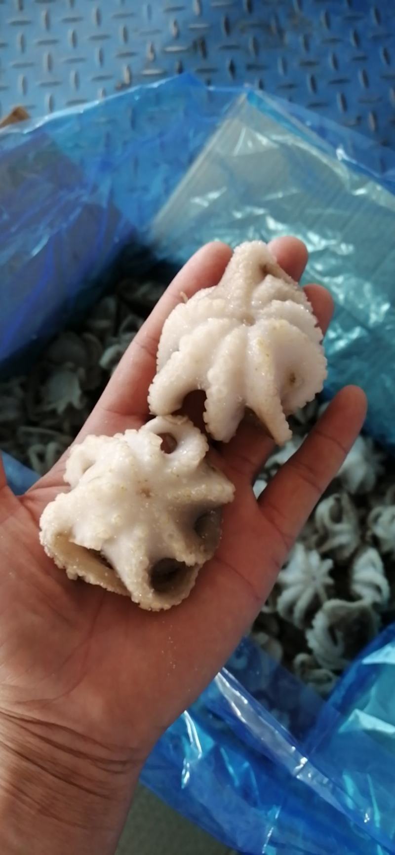八爪鱼章鱼球熟冻八爪鱼海鱼，鲜活速冻