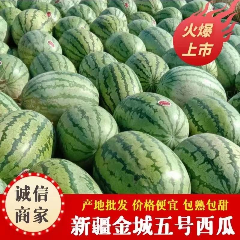 新疆西瓜金城5号西瓜耐运输15斤打底包成熟包甜可视频看货