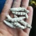 广西百色精品药用僵蚕