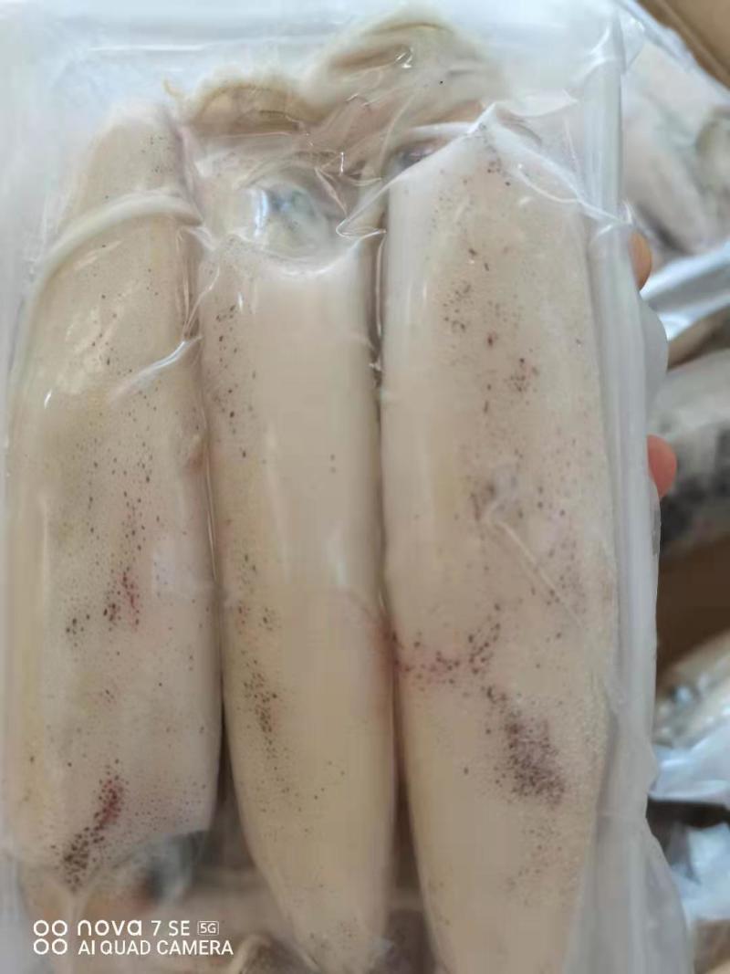鱿鱼，新鲜鱿鱼活冻，8.5两装，适合各大酒店饭店社区团购
