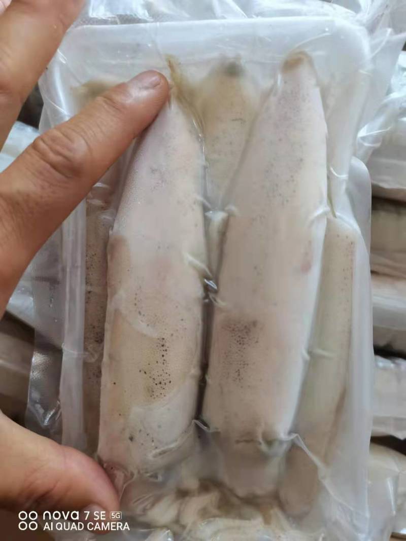 鱿鱼，新鲜鱿鱼活冻，8.5两装，适合各大酒店饭店社区团购