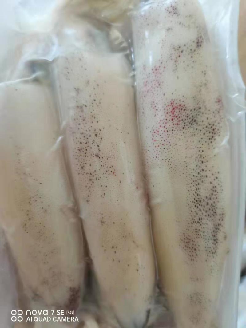 鱿鱼，新鲜鱿鱼活冻，8.5两装，适合各大酒店饭店社区团购
