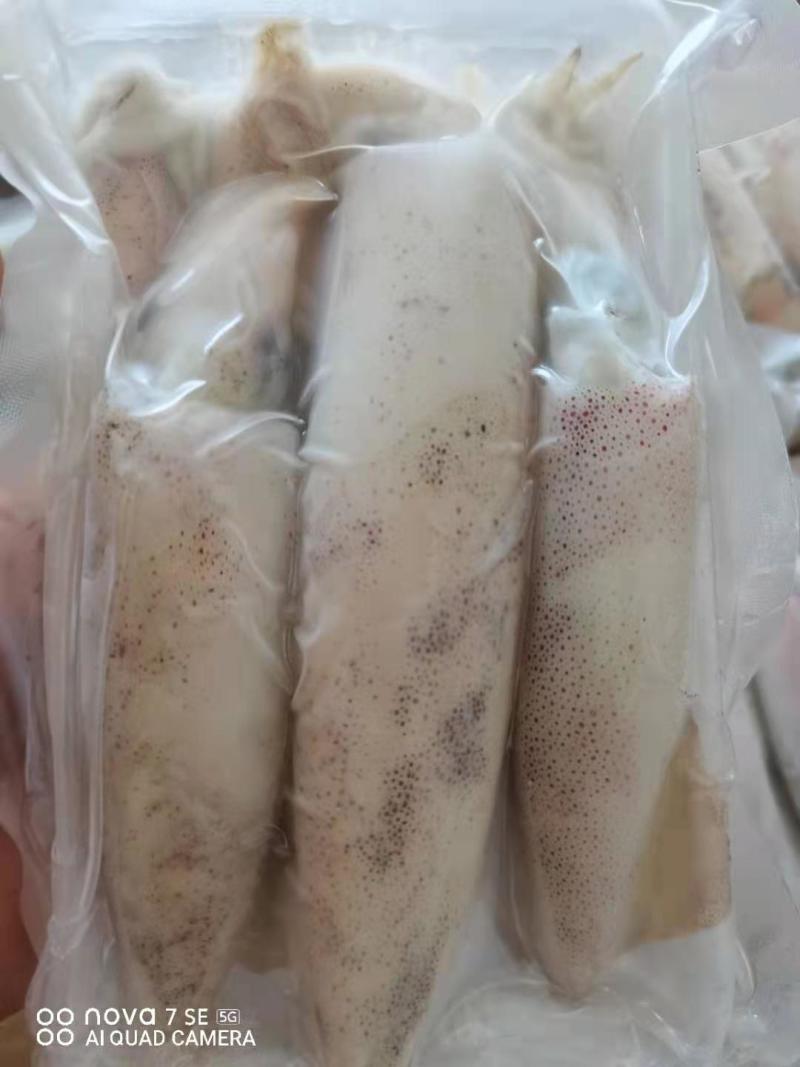 鱿鱼，新鲜鱿鱼活冻，8.5两装，适合各大酒店饭店社区团购
