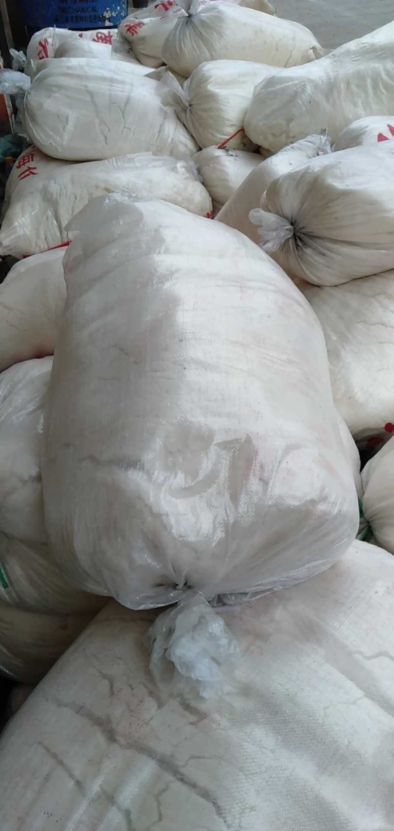 大量新鲜优质豆腐渣脱的豆腐渣发酵豆腐渣豆腐渣