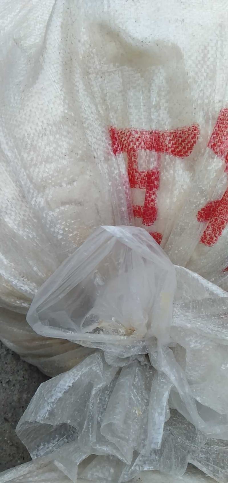 大量新鲜优质豆腐渣脱的豆腐渣发酵豆腐渣豆腐渣