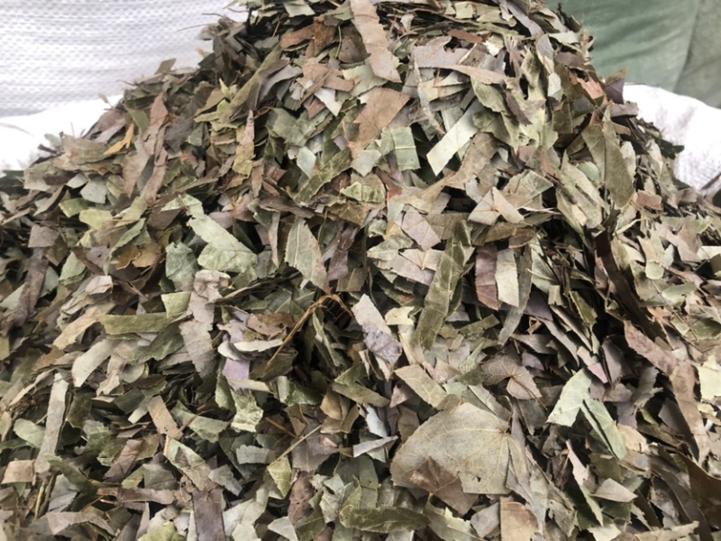 贵州羊角叶药材批发，量大从优农产品加工厂生产各种规格