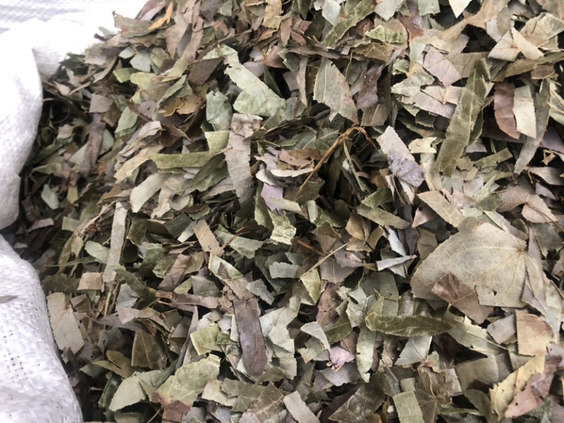 贵州羊角叶药材批发，量大从优农产品加工厂生产各种规格