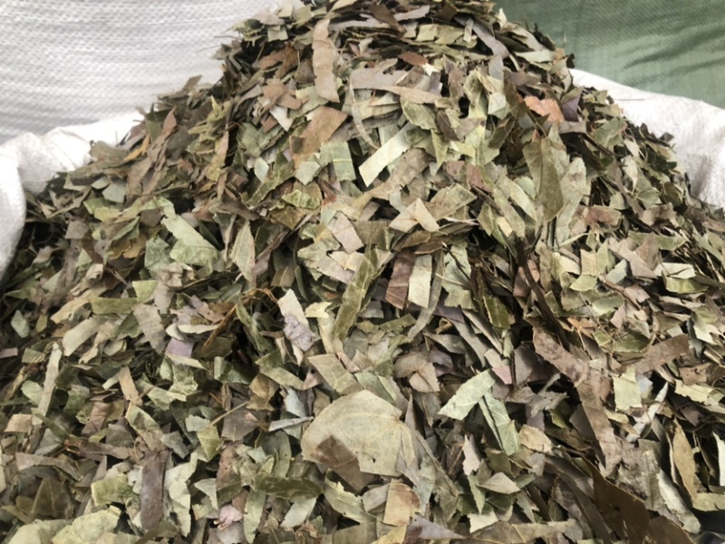 贵州羊角叶药材批发，量大从优农产品加工厂生产各种规格