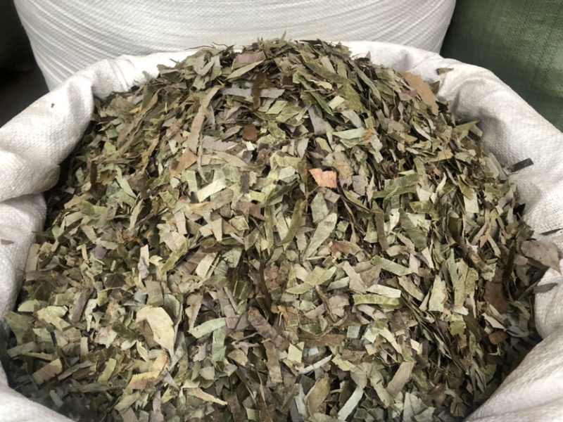 贵州羊角叶药材批发，量大从优农产品加工厂生产各种规格