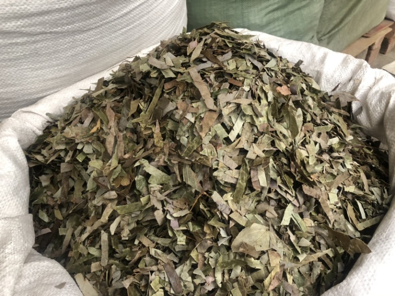 贵州羊角叶药材批发，量大从优农产品加工厂生产各种规格
