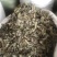 贵州羊角叶药材批发，量大从优农产品加工厂生产各种规格