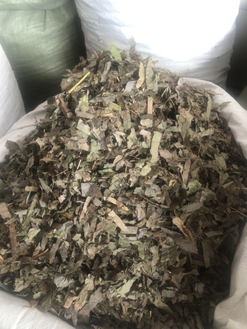 贵州羊角叶药材批发，量大从优农产品加工厂生产各种规格