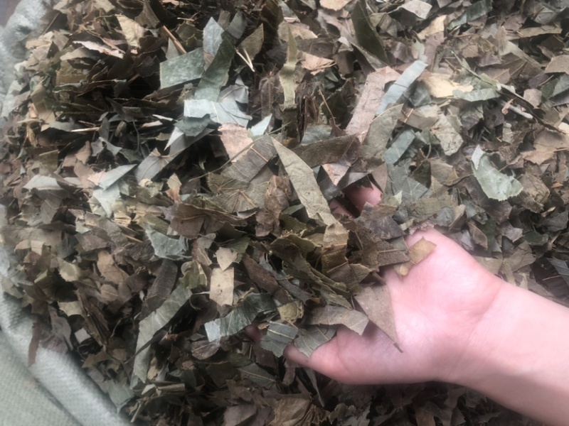 贵州羊角叶药材批发，量大从优农产品加工厂生产各种规格