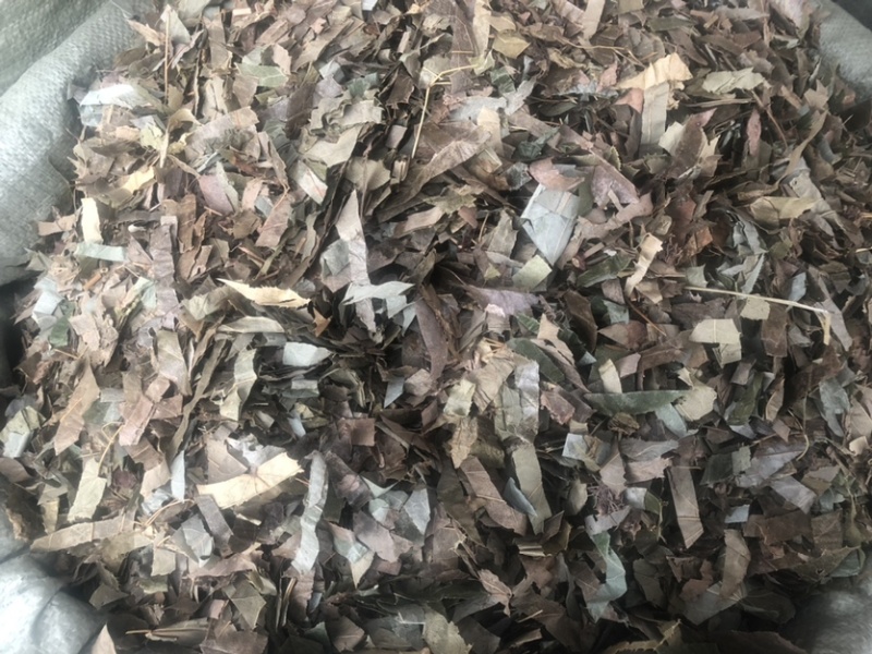 贵州羊角叶药材批发，量大从优农产品加工厂生产各种规格