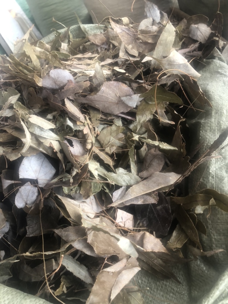 贵州羊角叶药材批发，量大从优农产品加工厂生产各种规格