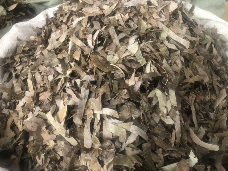 贵州羊角叶药材批发，量大从优农产品加工厂生产各种规格