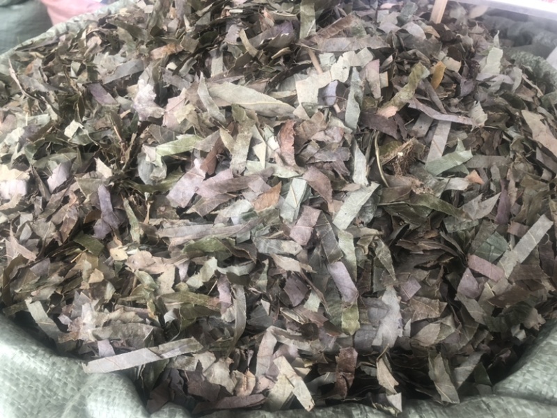 贵州羊角叶药材批发，量大从优农产品加工厂生产各种规格
