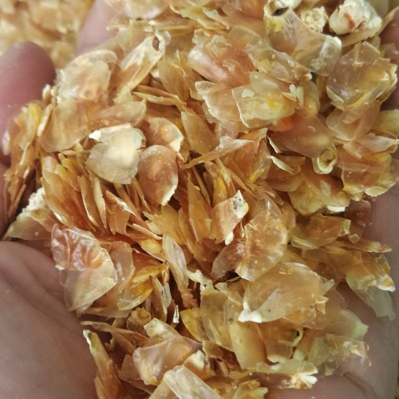 优质大粗玉米皮，厂家直销，量大优惠，质量保证
