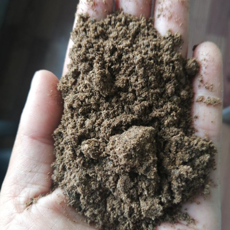 进口棕榈粕，牛羊猪好饲料，质量保证，量大优惠