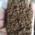 进口棕榈粕，牛羊猪好饲料，质量保证，量大优惠