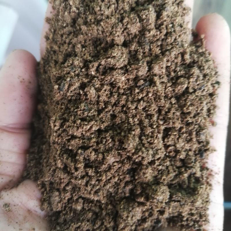 进口棕榈粕，牛羊猪好饲料，质量保证，量大优惠