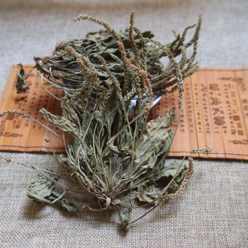 车前草正宗野生车前草茶全草精选新货干货无硫500g