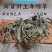 车前草正宗野生车前草茶全草精选新货干货无硫500g