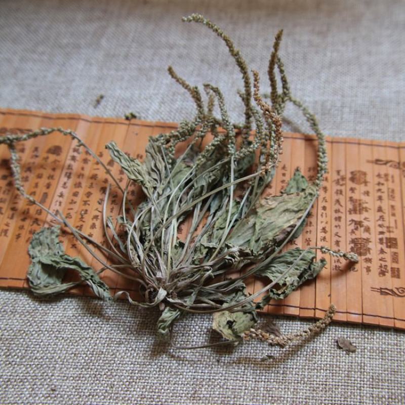 车前草正宗野生车前草茶全草精选新货干货无硫500g