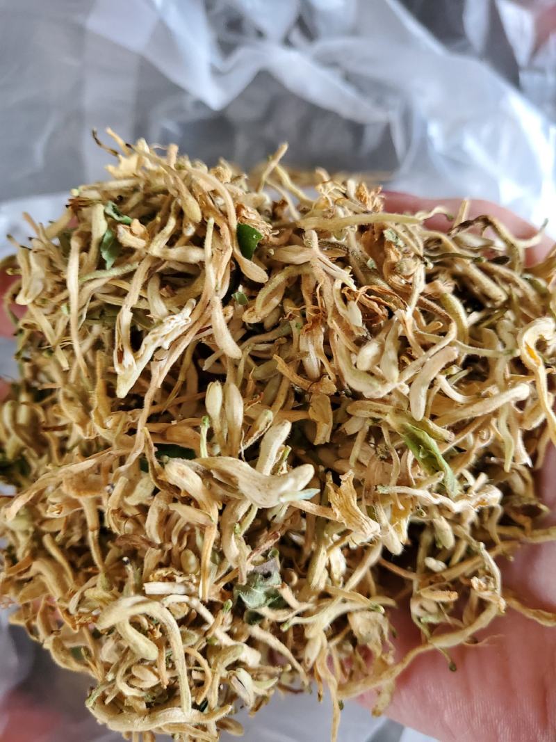 山东带绒金银花色白花无杆，产地直销质量保证