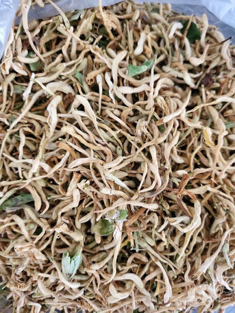 山东带绒金银花色白花无杆，产地直销质量保证