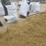 山东带绒金银花色白花无杆，产地直销质量保证